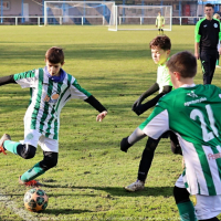 sh13-krocehlavy.jpg sh13-krocehlavy.jpg