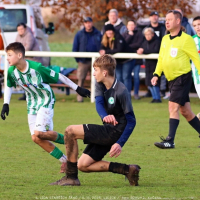 sh15-kročehlavy (5).jpg