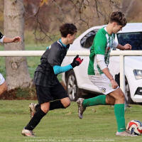 sh15-kročehlavy (4).jpg