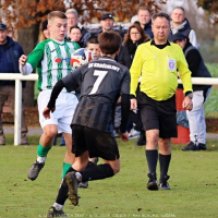 sh15-kročehlavy (3).jpg