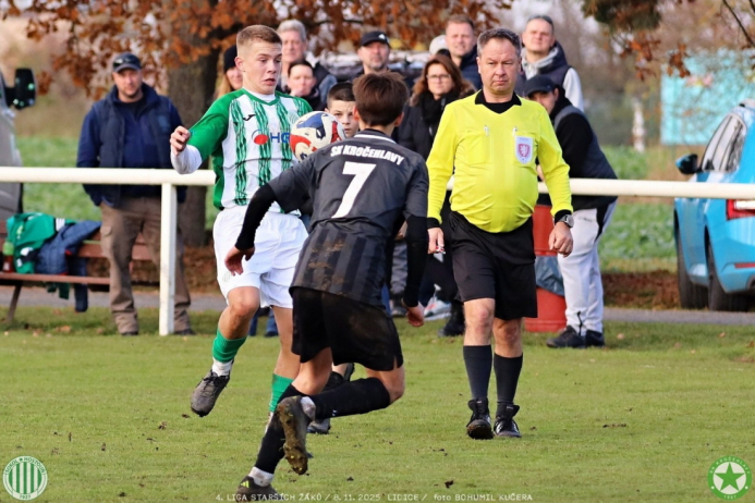 sh15-kročehlavy (3).jpg