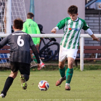 sh15-kročehlavy (10).jpg