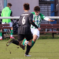 sh15-kročehlavy (11).jpg