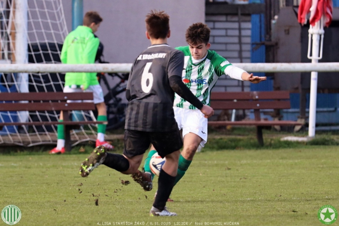 sh15-kročehlavy (11).jpg