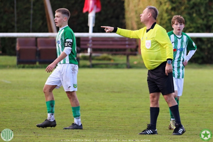 sh15-kročehlavy (6).jpg