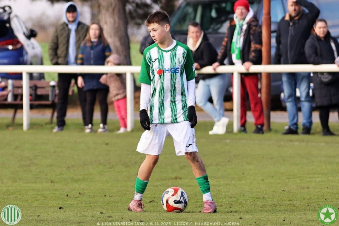 sh15-kročehlavy (8).jpg