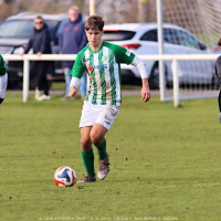 sh15-kročehlavy (12).jpg