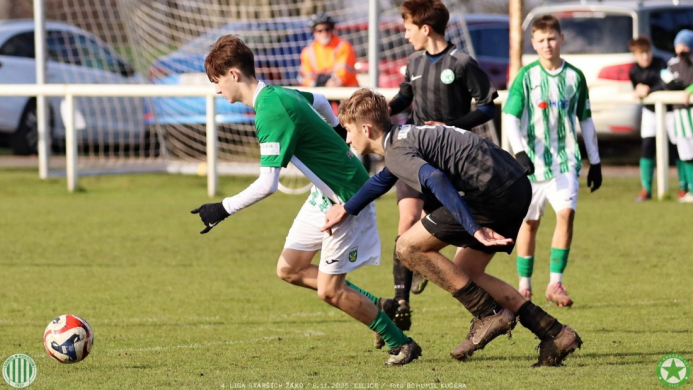 sh15-kročehlavy (18).jpg