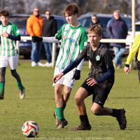 sh15-kročehlavy (19).jpg sh15-kročehlavy (19).jpg