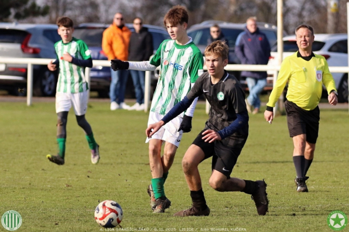 sh15-kročehlavy (19).jpg