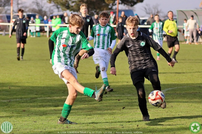 sh15-kročehlavy (22).jpg