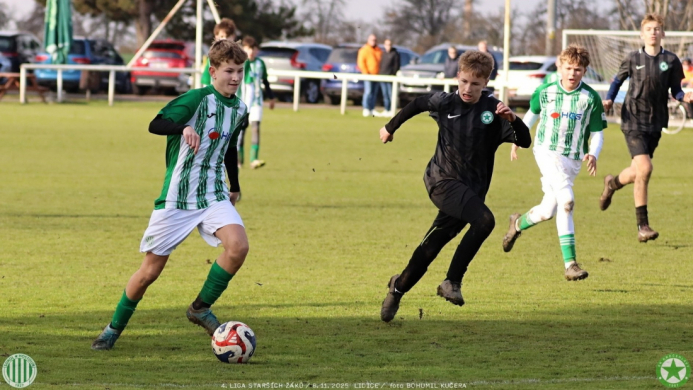 sh15-kročehlavy (20).jpg