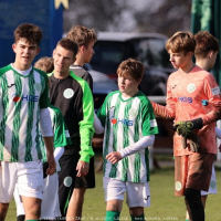 sh15-kročehlavy (30).jpg