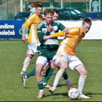 loko-sh (64).jpg loko-sh (64).jpg