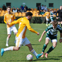 loko-sh (71).jpg loko-sh (71).jpg