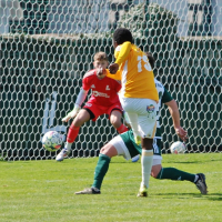 loko-sh (83).jpg loko-sh (83).jpg