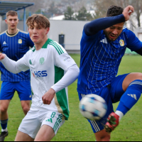 motorlet-sh (17).jpg motorlet-sh (17).jpg