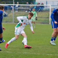 motorlet-sh (23).jpg motorlet-sh (23).jpg