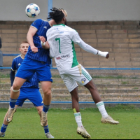 motorlet-sh (45).jpg