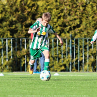 bustehrad-sh11 (15).jpg