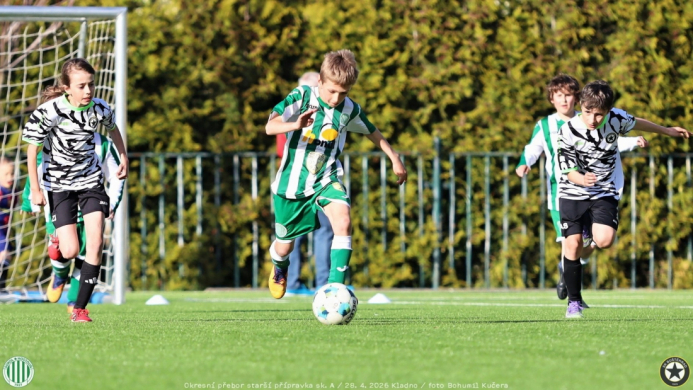 bustehrad-sh11 (15).jpg