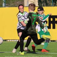 bustehrad-sh11 (14).jpg