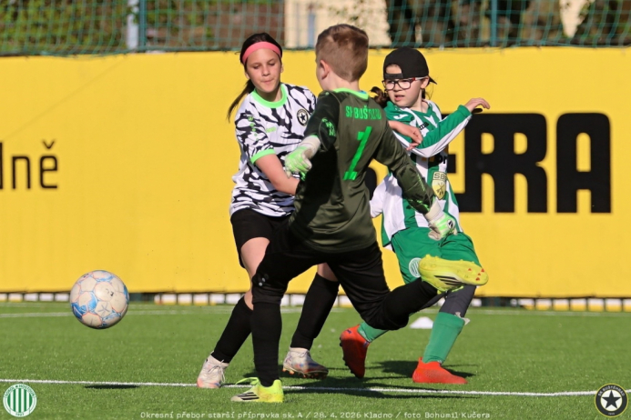 bustehrad-sh11 (14).jpg