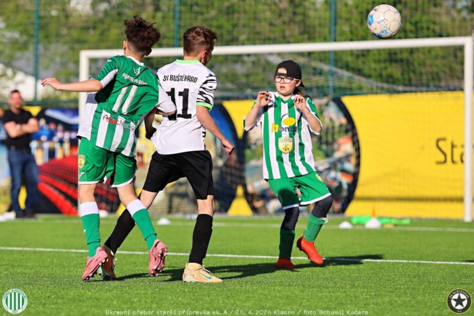bustehrad-sh11 (23).jpg