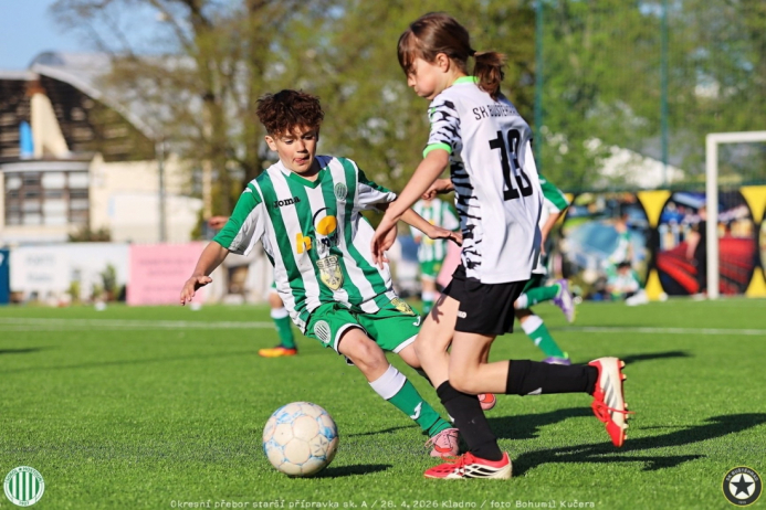 bustehrad-sh11 (32).jpg