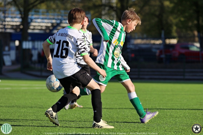 bustehrad-sh11 (45).jpg
