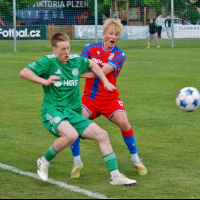 sh-plzen (4).jpg