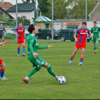 sh-plzen (11).jpg