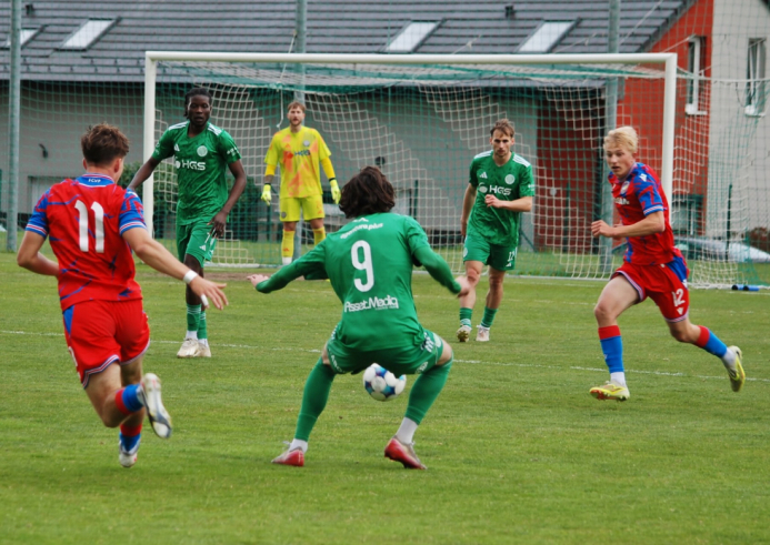 sh-plzen (24).jpg