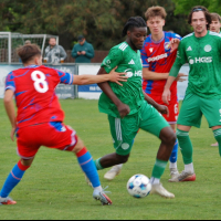 sh-plzen (47).jpg sh-plzen (47).jpg