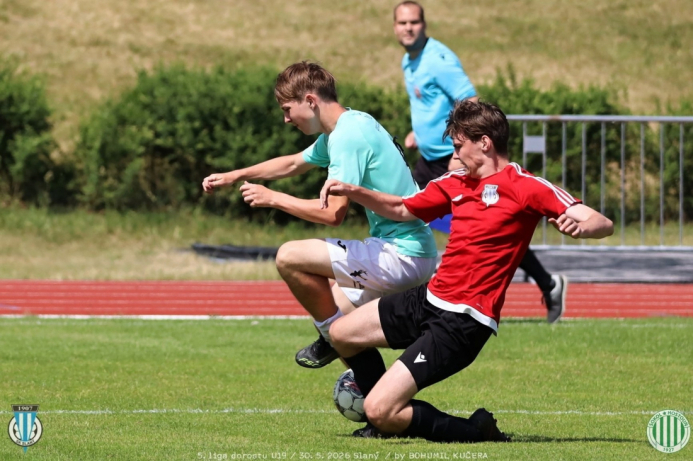 slany-sh19 (16).jpg